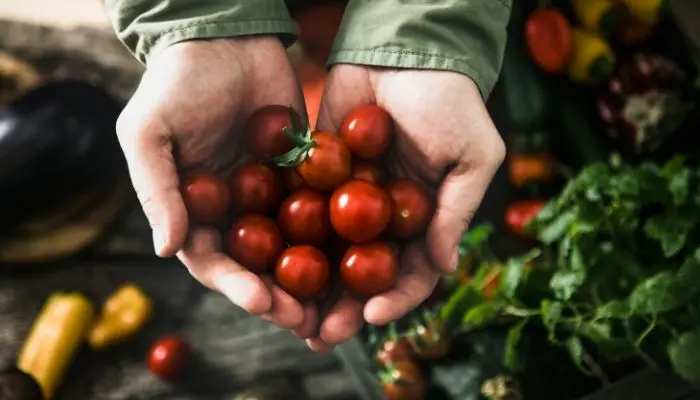 verduras